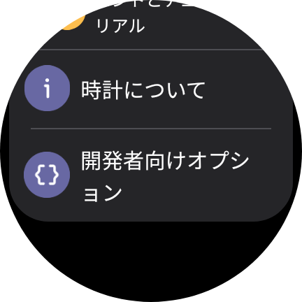 開発者オプション