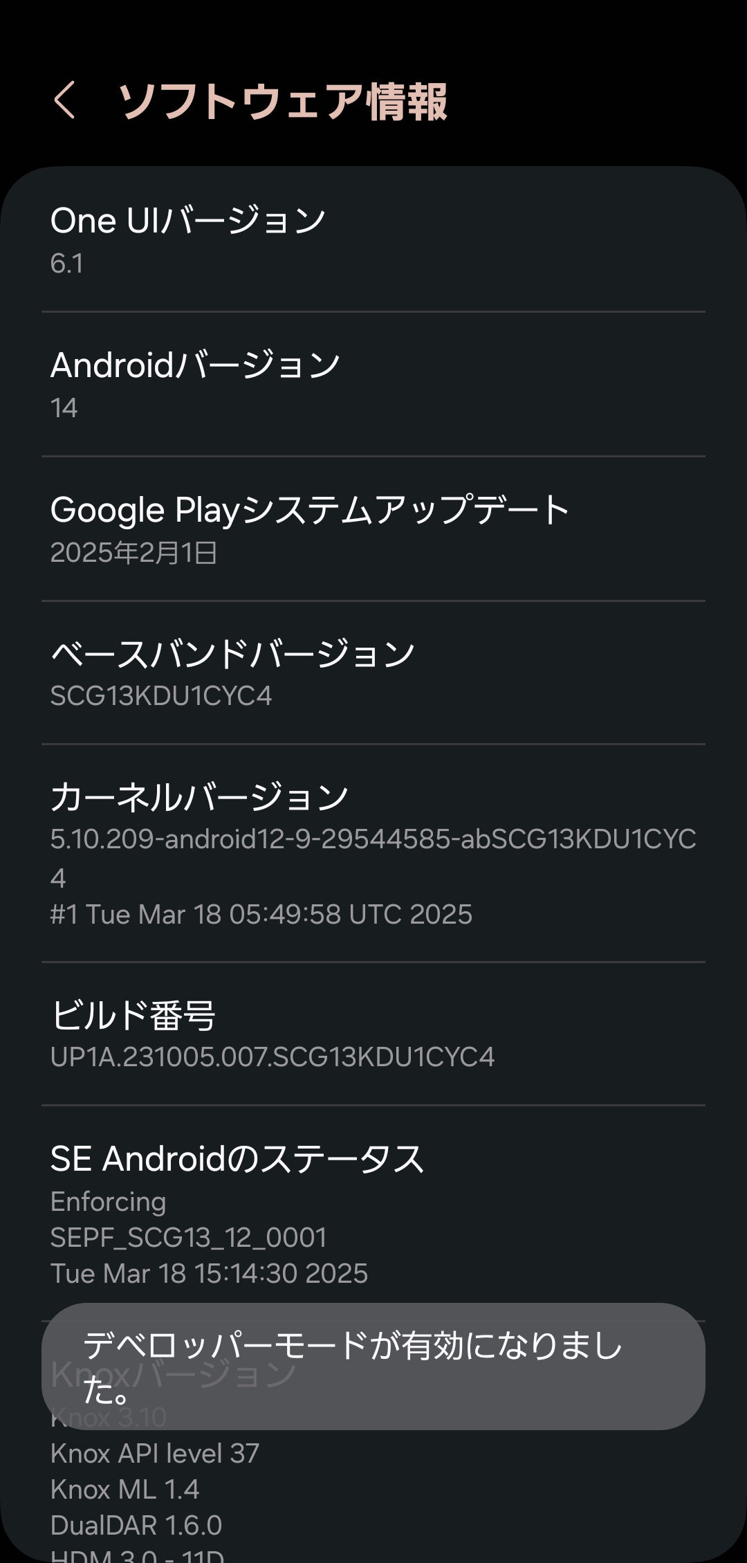 ビルド番号